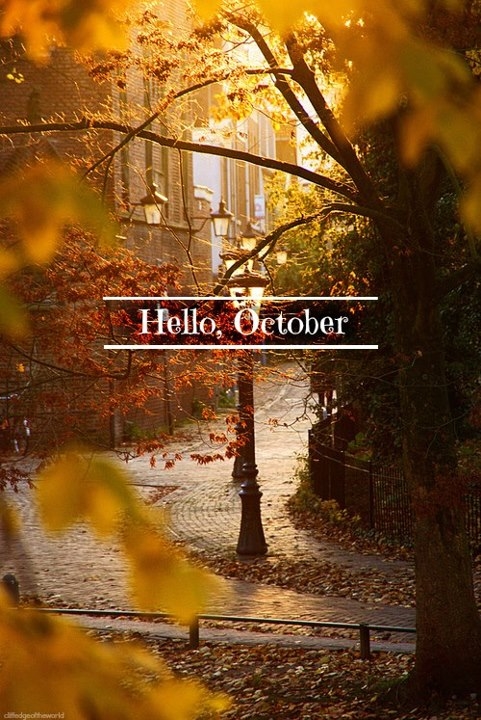 OCTOBER: Special Days, Holidays, and International Awareness Days